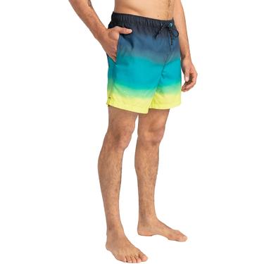  Billabong All Day Fade Lb Erkek Siyah Volley Short