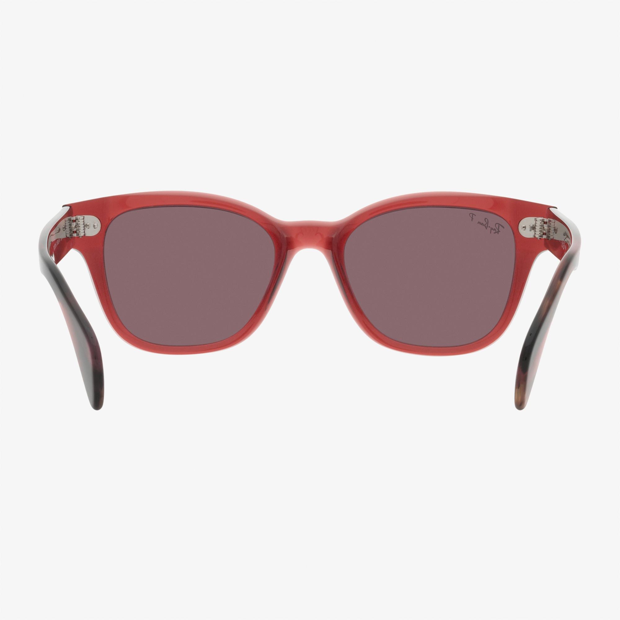 RAY-BAN 0RB0880S Unisex Kahverengi Güneş Gözlüğü