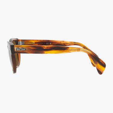  RAY-BAN 0RB0880S Unisex Kahverengi Güneş Gözlüğü