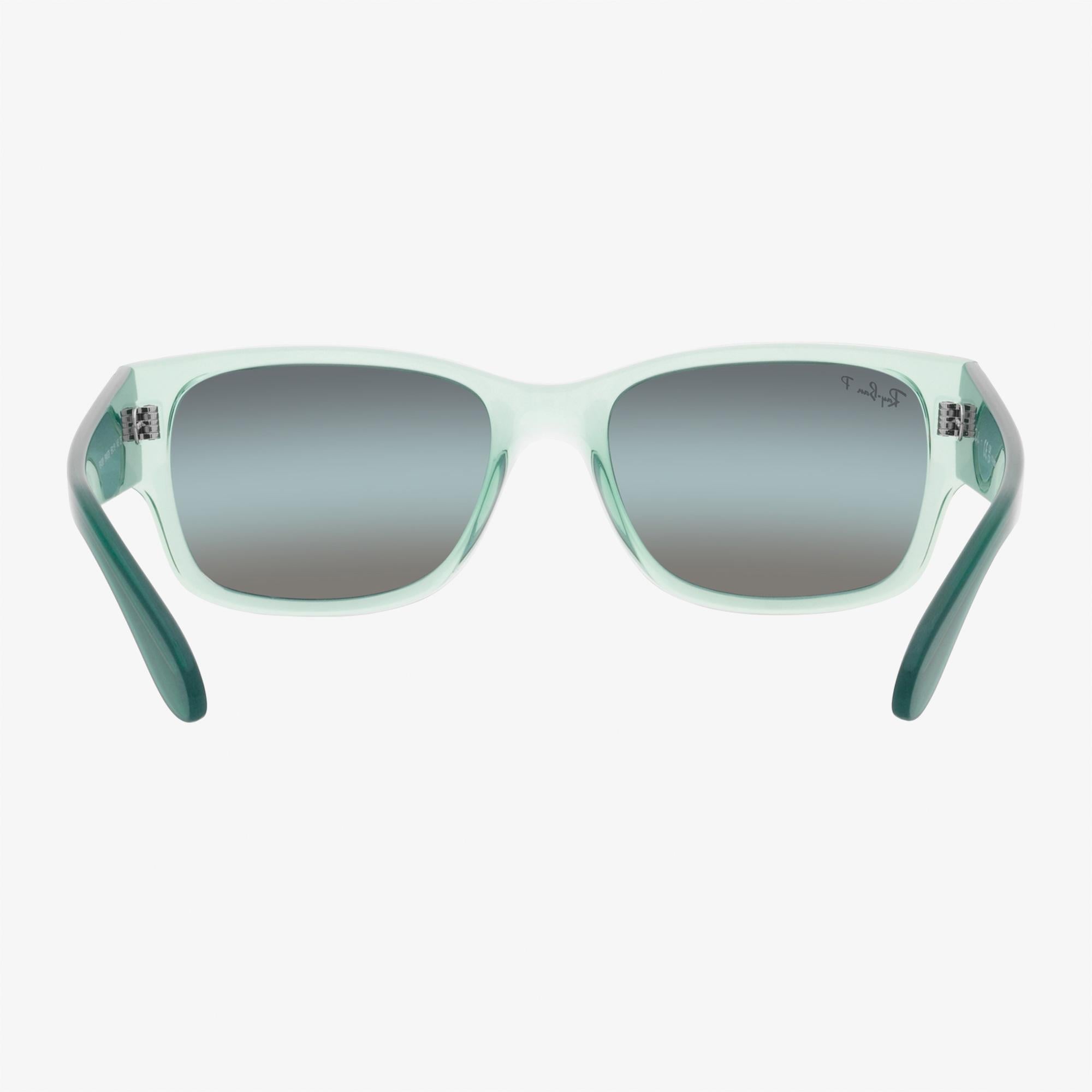 RAY-BAN 0RB4388 Unisex Yeşil Güneş Gözlüğü