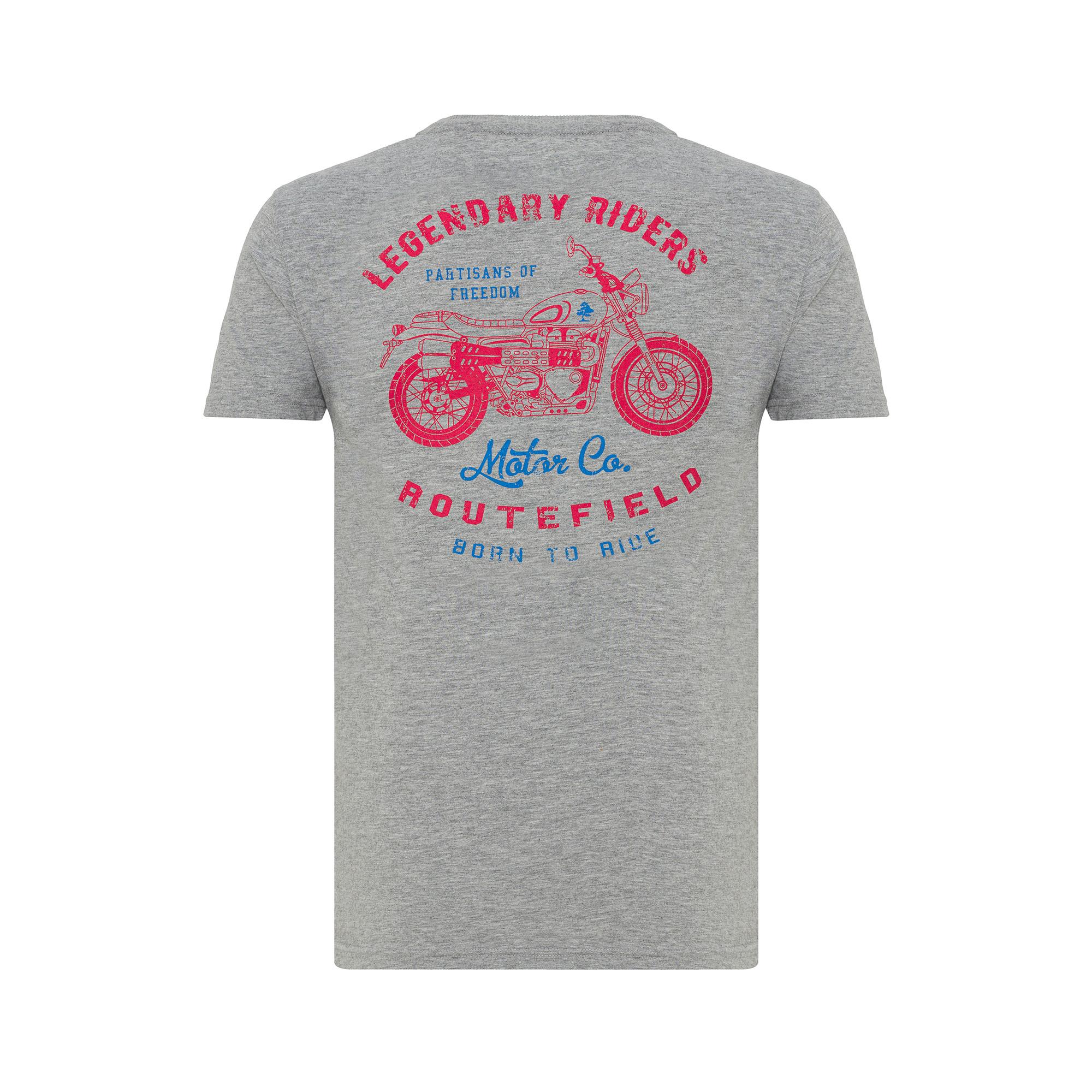 Routefield Tyce Erkek Gri Tişört