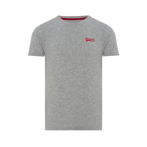  Routefield Tyce Erkek Gri Tişört