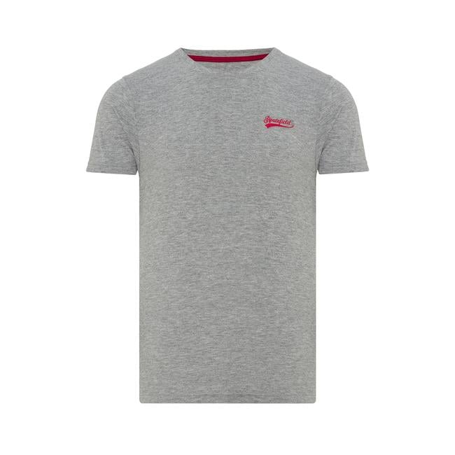  Routefield Tyce Erkek Gri Tişört
