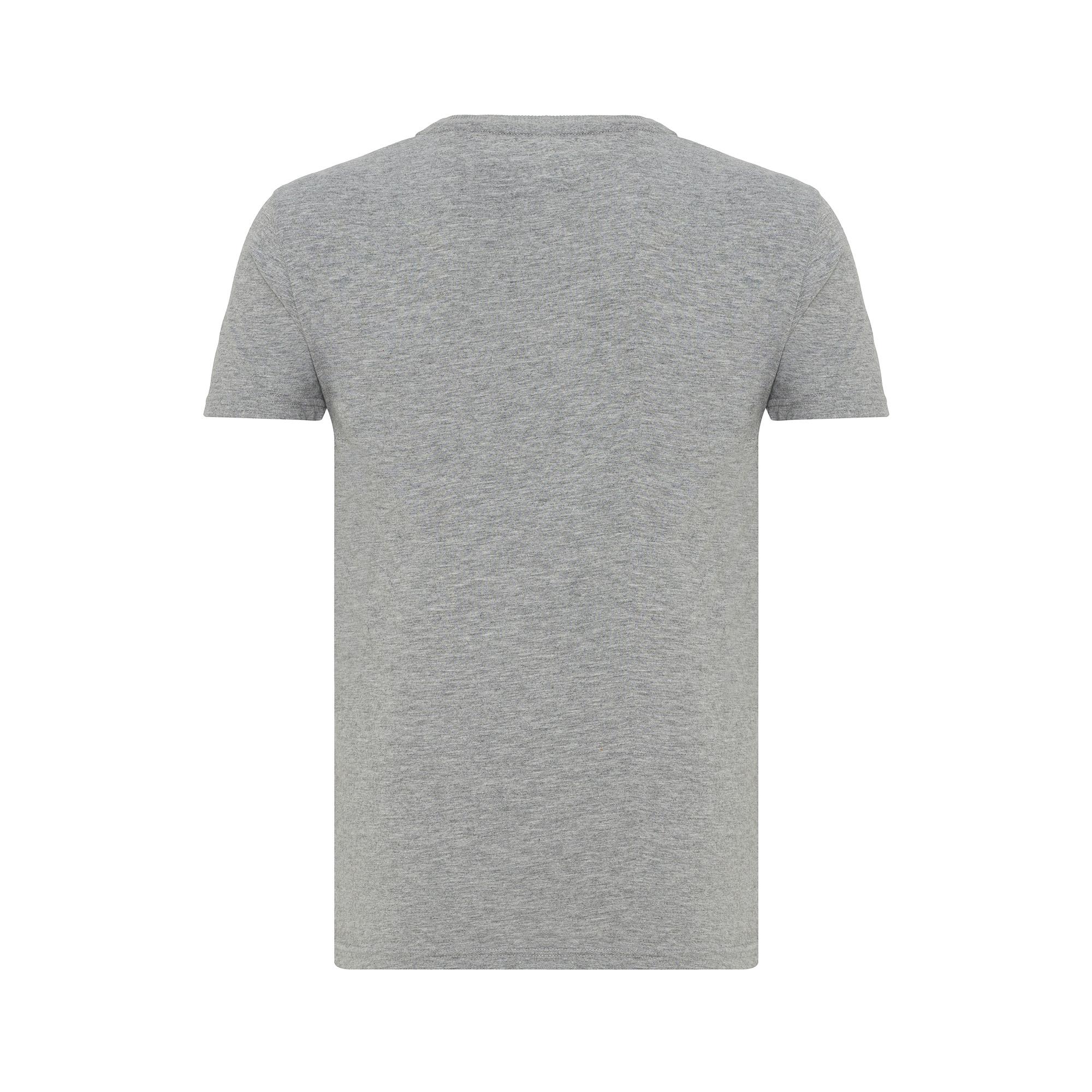 Routefield Triad Erkek Gri Tişört
