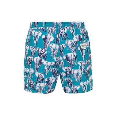  Routefield Vince Erkek Volley Short