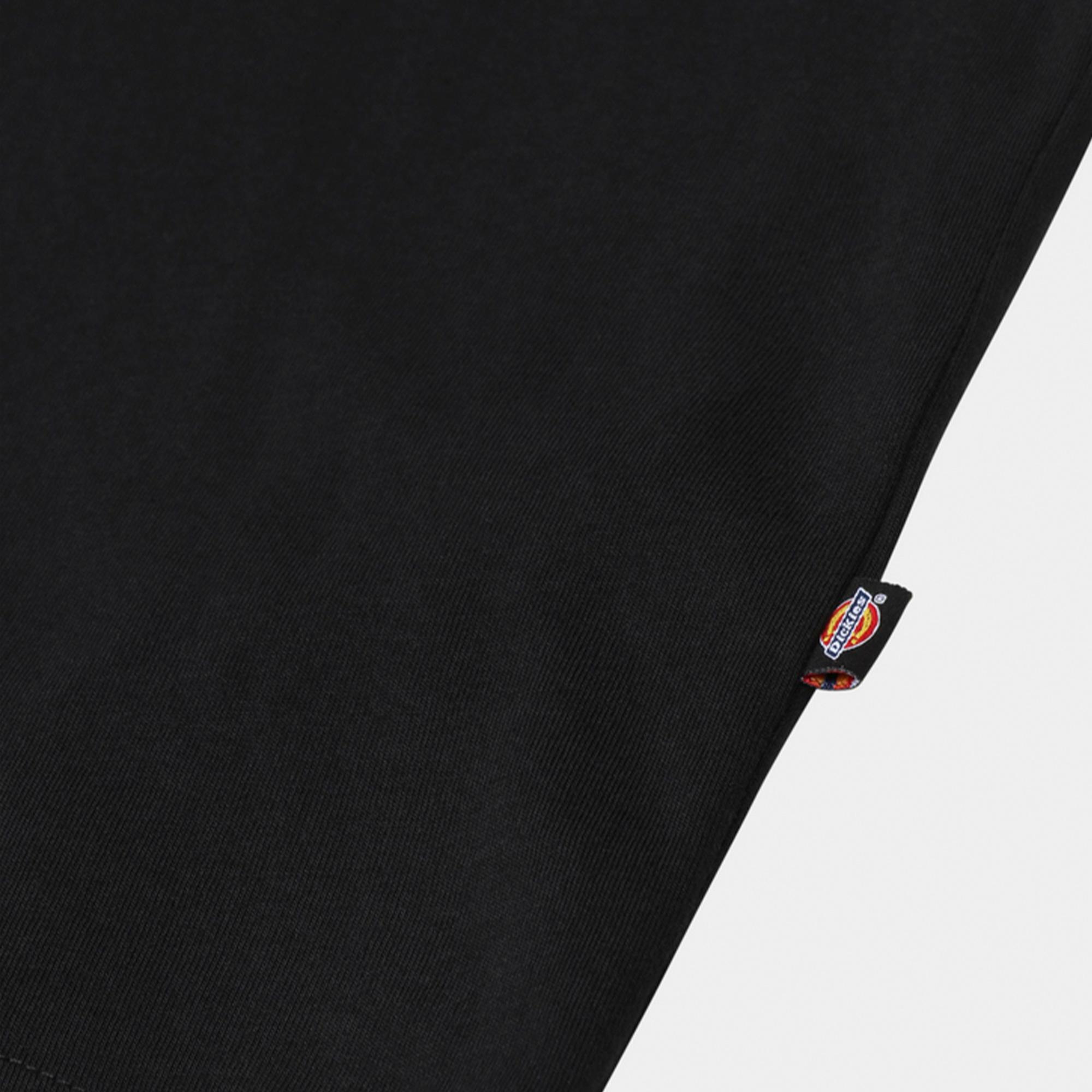 Dickies Mapleton Erkek Siyah T-Shirt