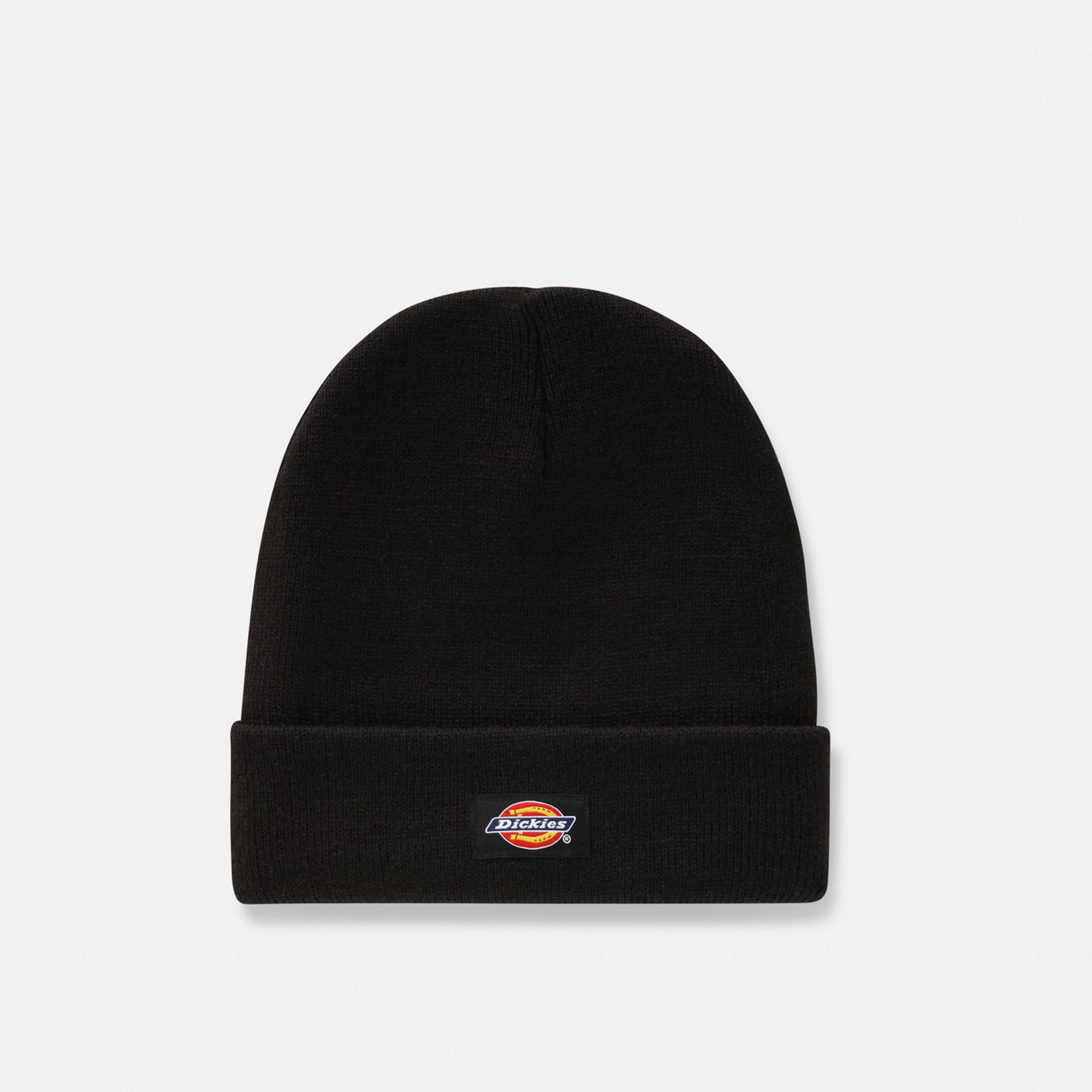 Dickies Gibsland Erkek Siyah Bere