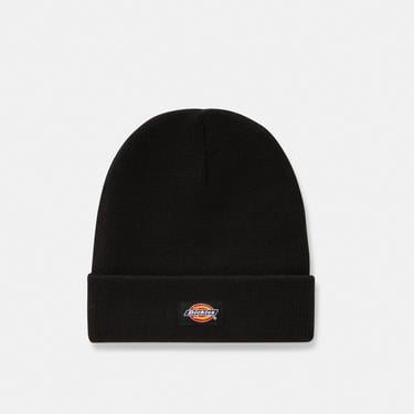  Dickies Gibsland Erkek Siyah Bere