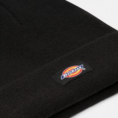  Dickies Gibsland Erkek Siyah Bere