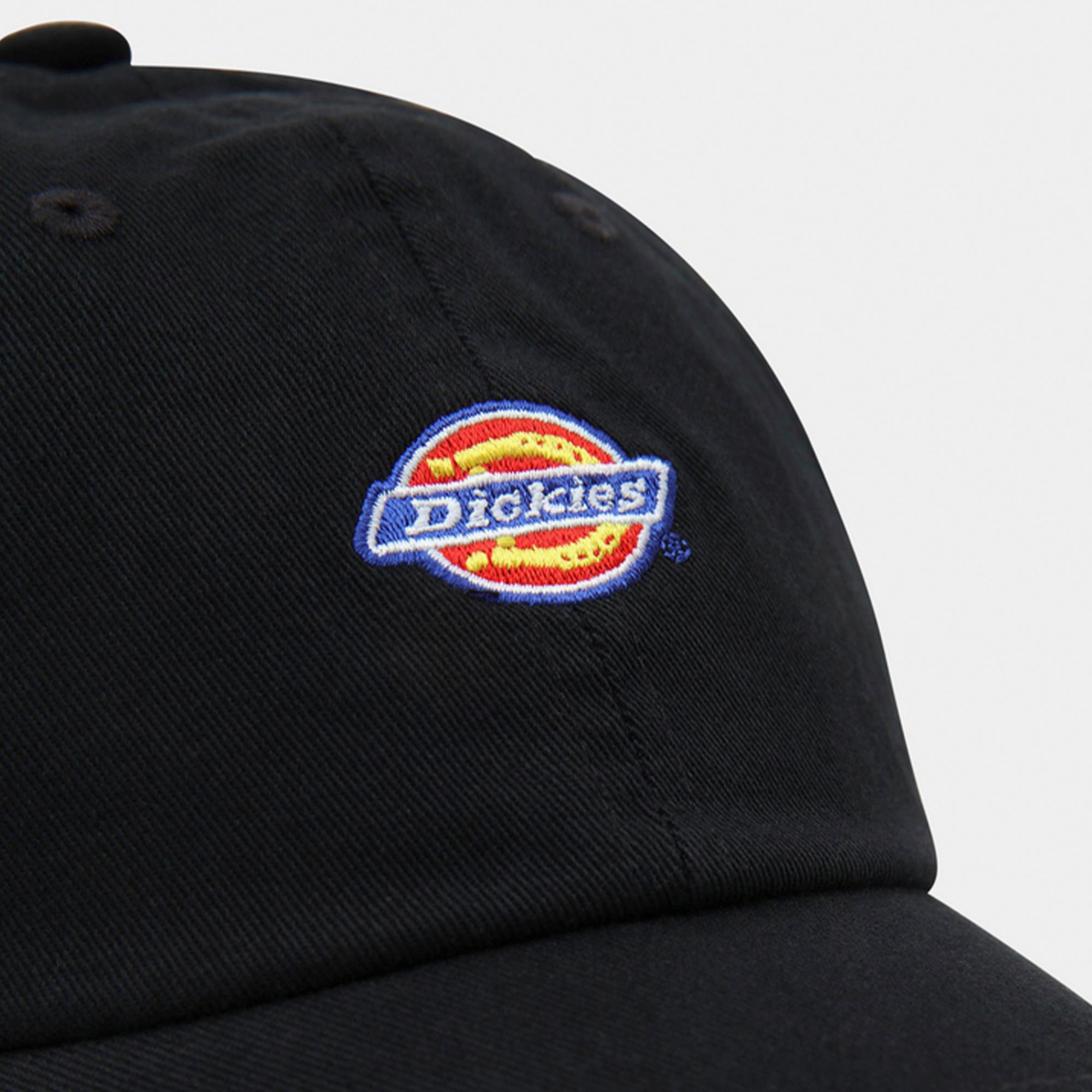 Dickies Hardwick Erkek Siyah Bere