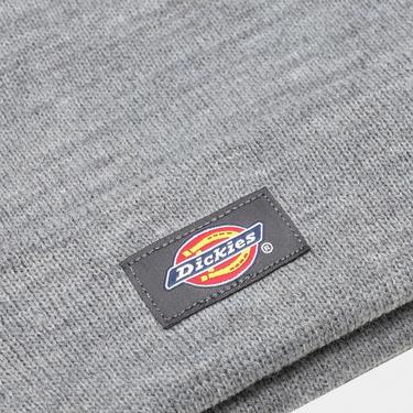  Dickies Gibsland Erkek Gri Bere