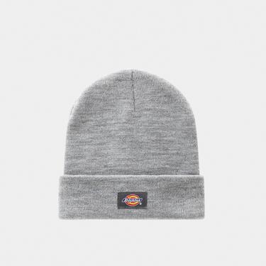  Dickies Gibsland Erkek Gri Bere