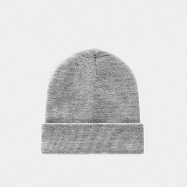  Dickies Gibsland Erkek Gri Bere