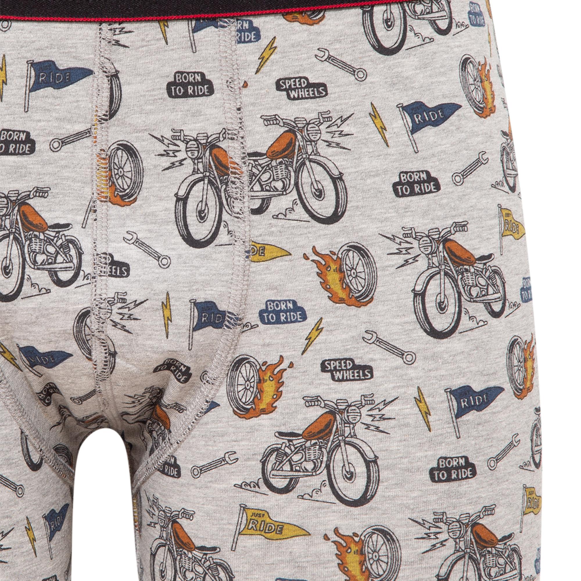 Mavi Baskılı Gri Boxer 0910723-82816