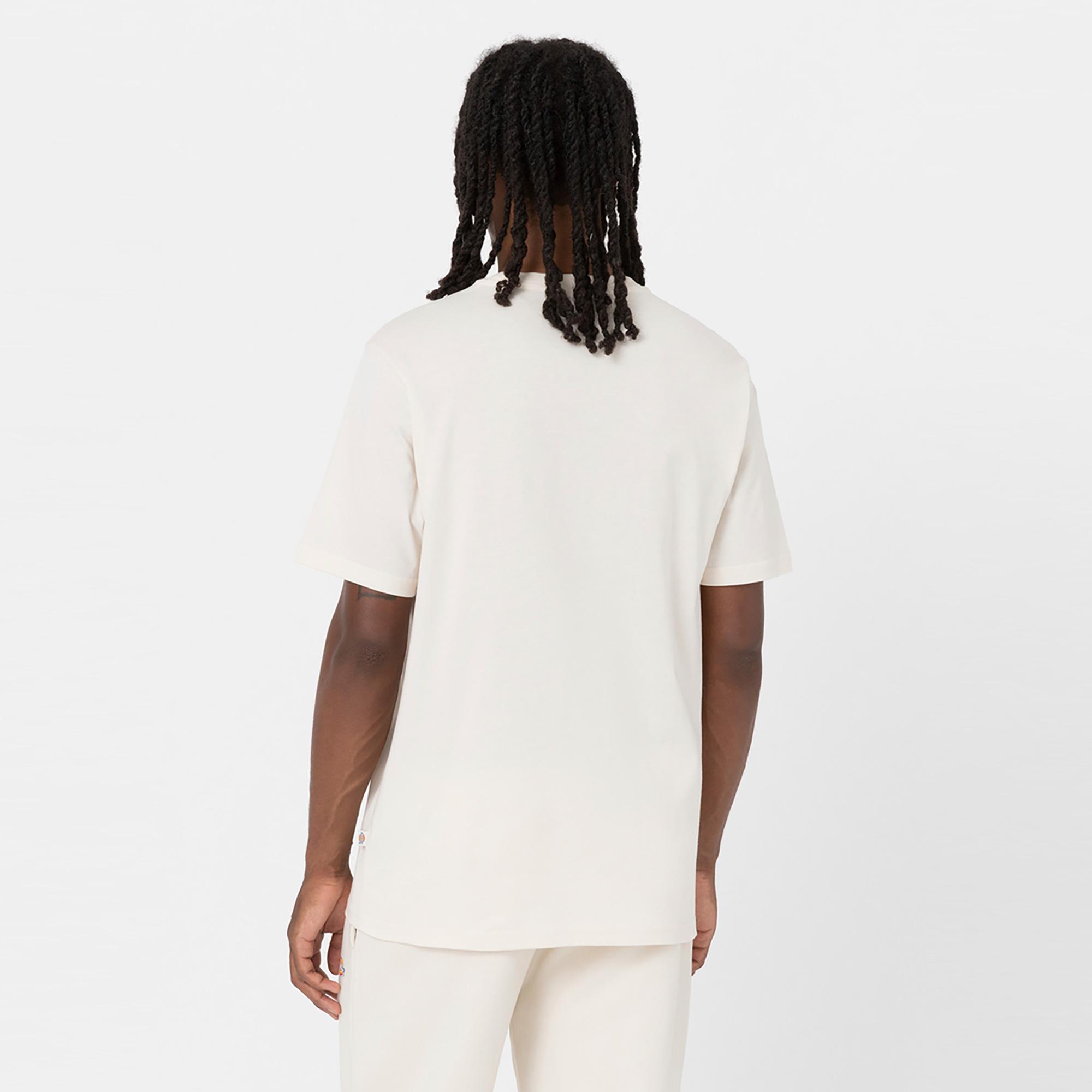 Dickies Mapleton Erkek Gri T-Shirt