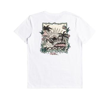  Quiksilver Wary Eye Erkek Renkli Tişört