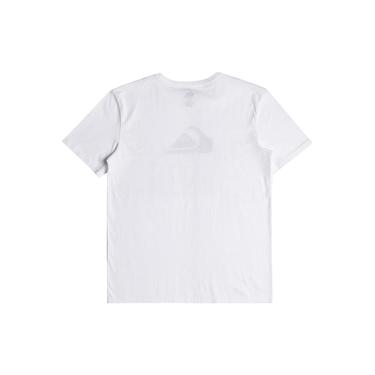  Quiksilver Complogo Erkek Renkli Tişört