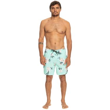  Quiksilver Erkek Volley Short Mix 17 M Jamv Beach Glass Günlük Giyim