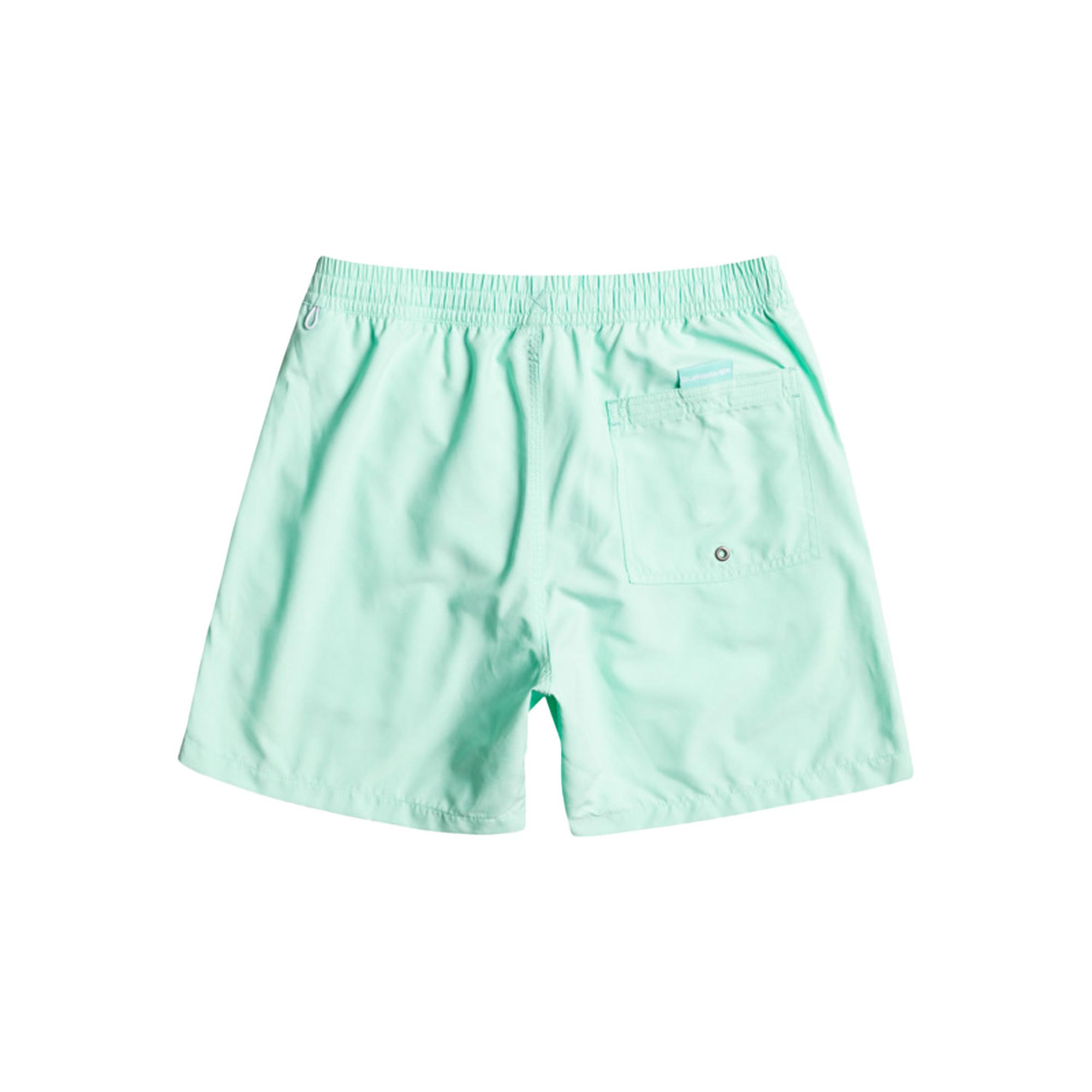 Quiksilver Erkek Volley Short Vert 16 M Jamv Beach Glass Günlük Giyim