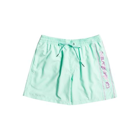  Quiksilver Erkek Volley Short Vert 16 M Jamv Beach Glass Günlük Giyim