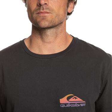  Quiksilver Pastimeparadise Erkek Siyah Tişört