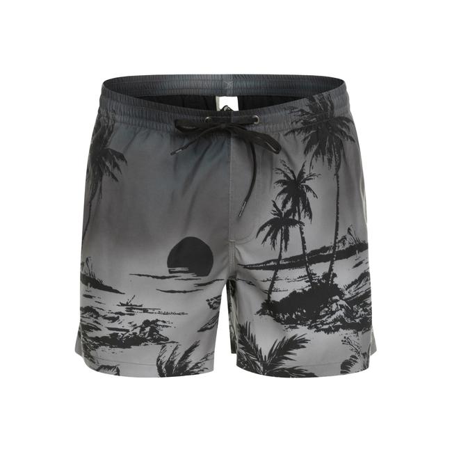  Quiksilver Erkek Volley Short Paradise 15 M Jamv Siyah