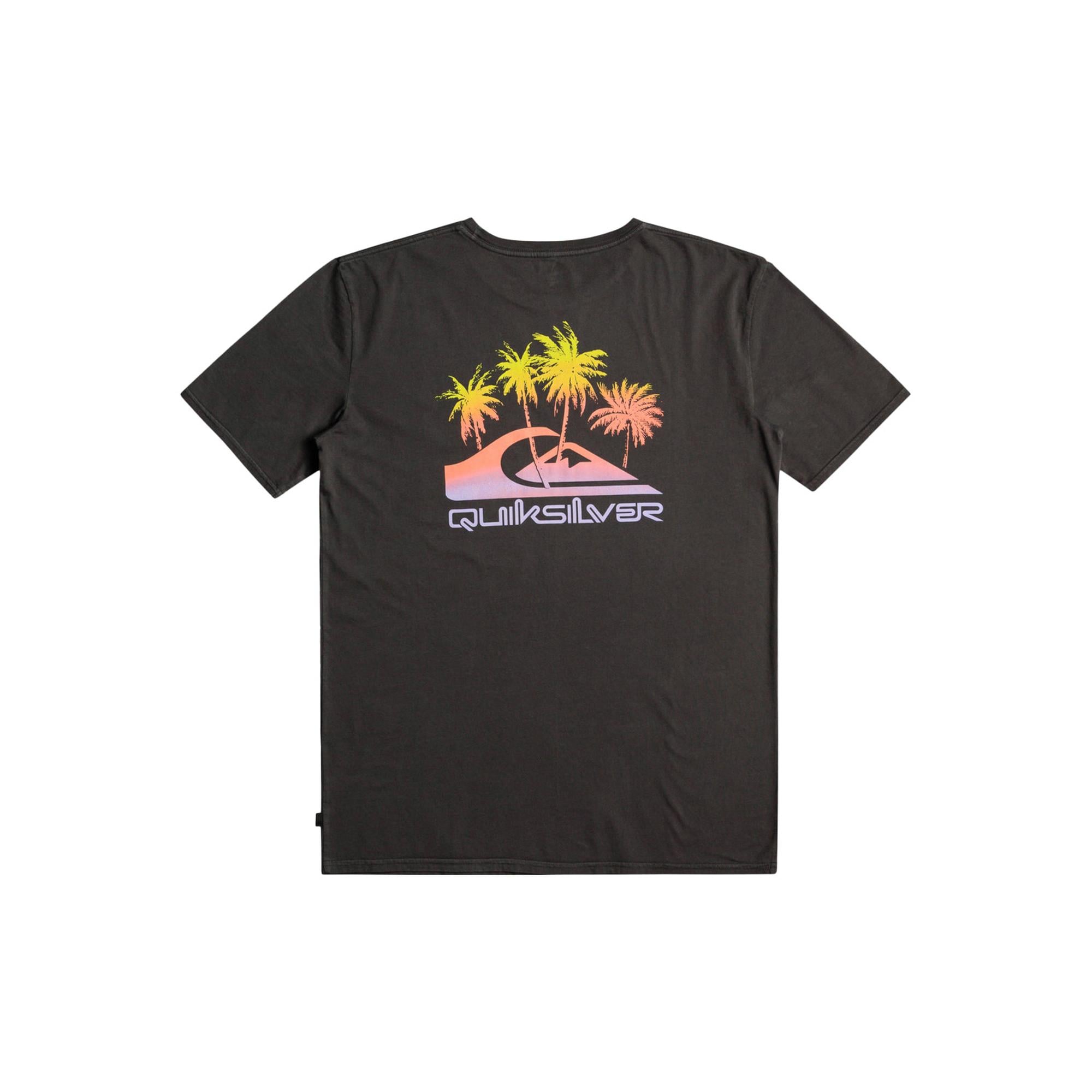 Quiksilver Pastimeparadise Erkek Siyah Tişört