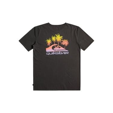  Quiksilver Pastimeparadise Erkek Siyah Tişört