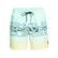 Quiksilver Wordblock 17 Jamv Erkek Volley Short