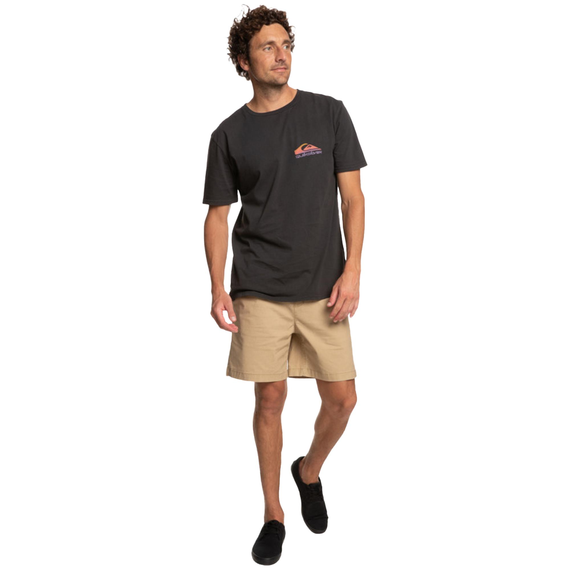 Quiksilver Pastimeparadise Erkek Siyah Tişört