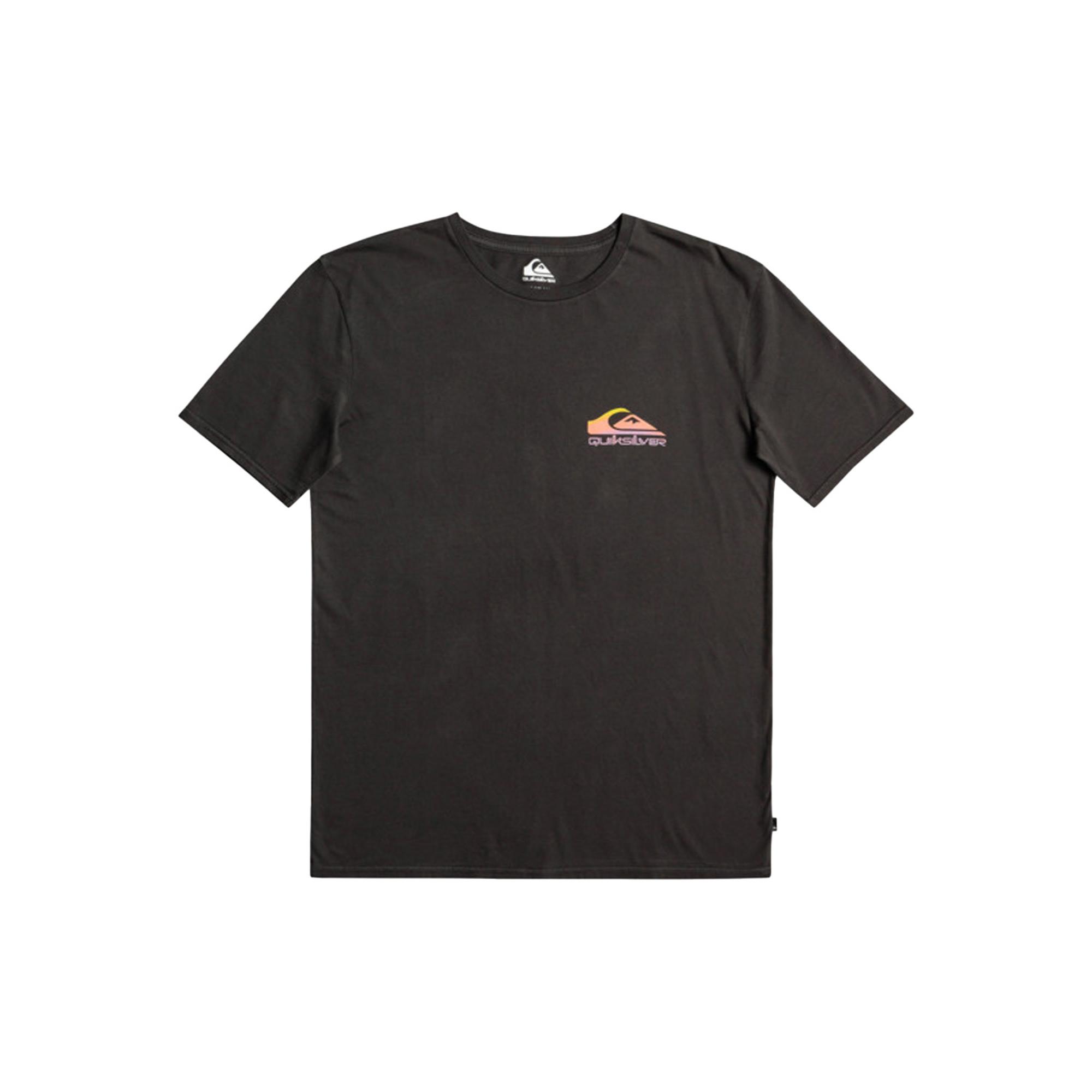 Quiksilver Pastimeparadise Erkek Siyah Tişört