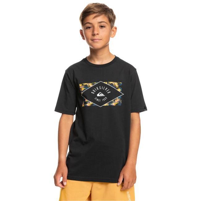  Quiksilver Circledline B Erkek Çocuk Siyah Tişört