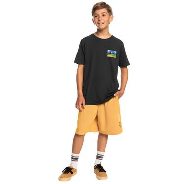  Quiksilver Colour Flow Yth Erkek Çocuk Siyah Tişört