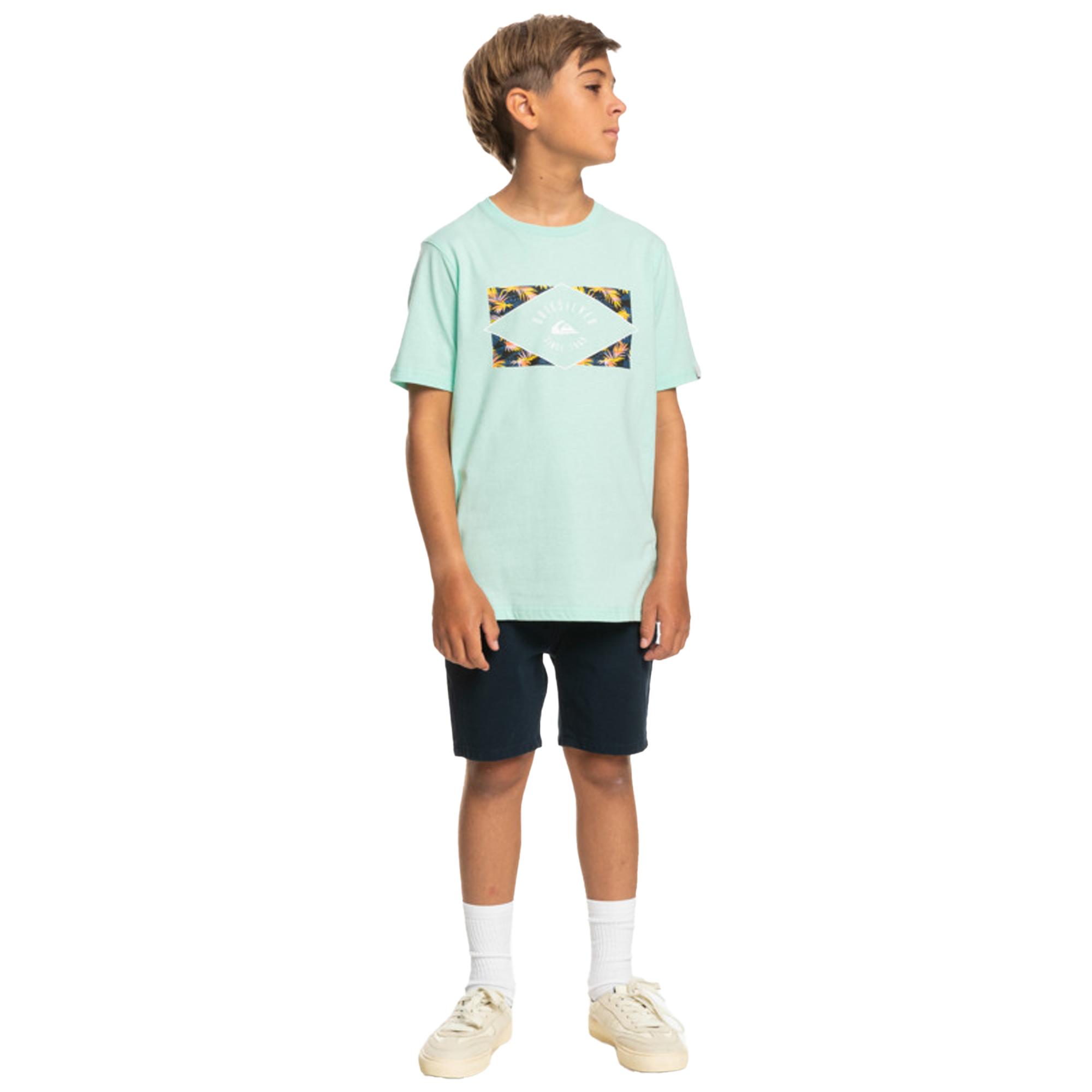 Quiksilver Circledline B Erkek Çocuk Renkli Tişört