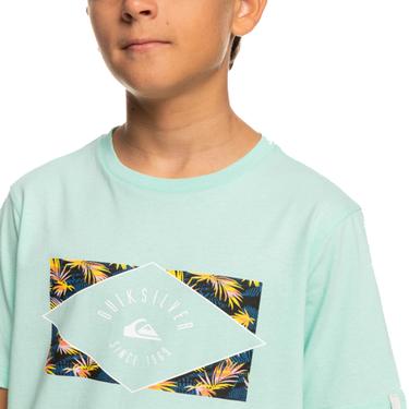  Quiksilver Circledline B Erkek Çocuk Renkli Tişört