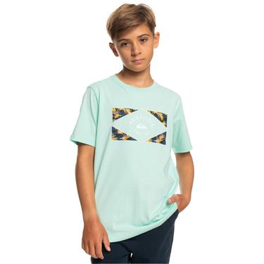  Quiksilver Circledline B Erkek Çocuk Renkli Tişört