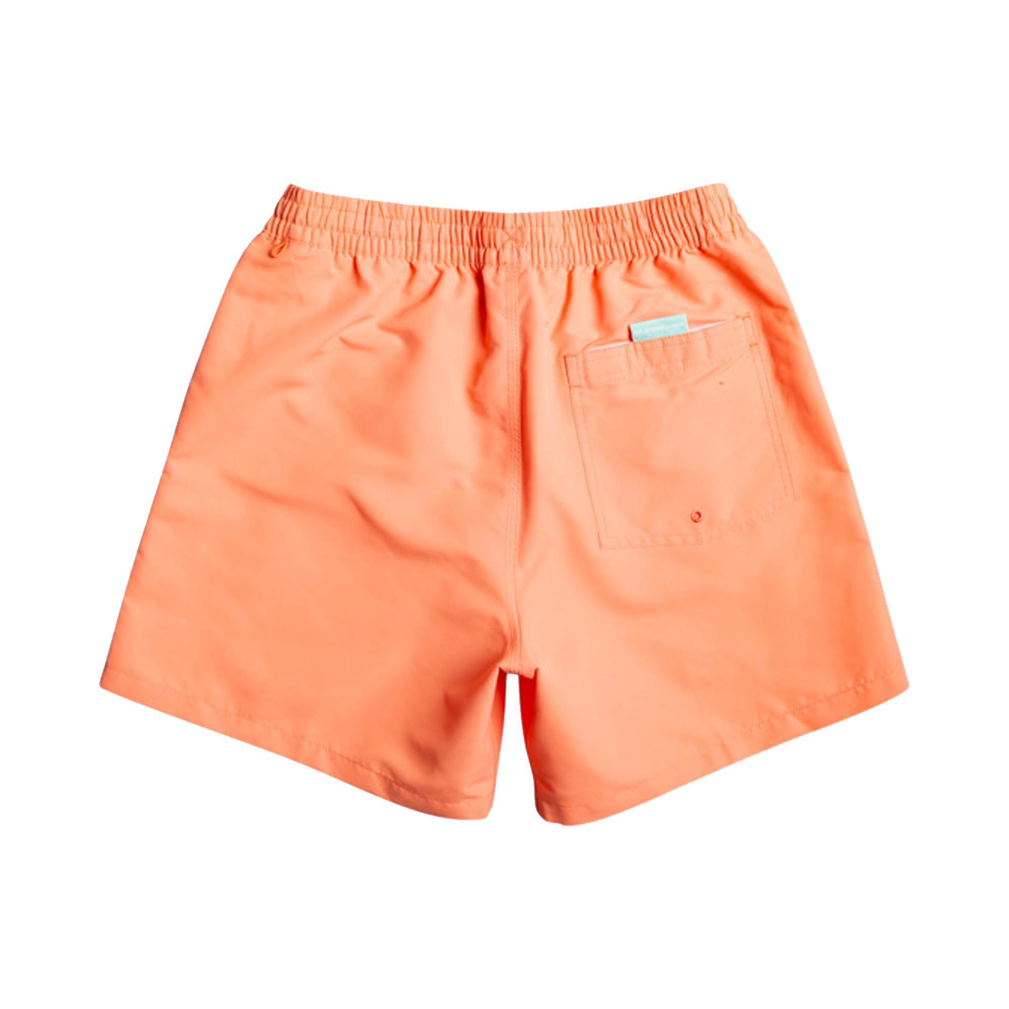 Quiksilver Beach Please Volley 16 Erkek Volley Short