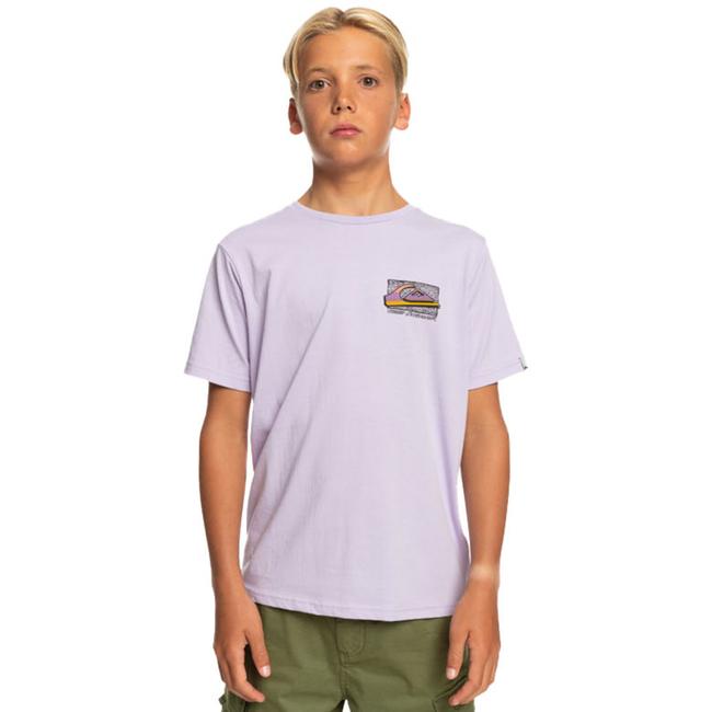  Quiksilver Retro Fade Yth Erkek Çocuk Mor Tişört