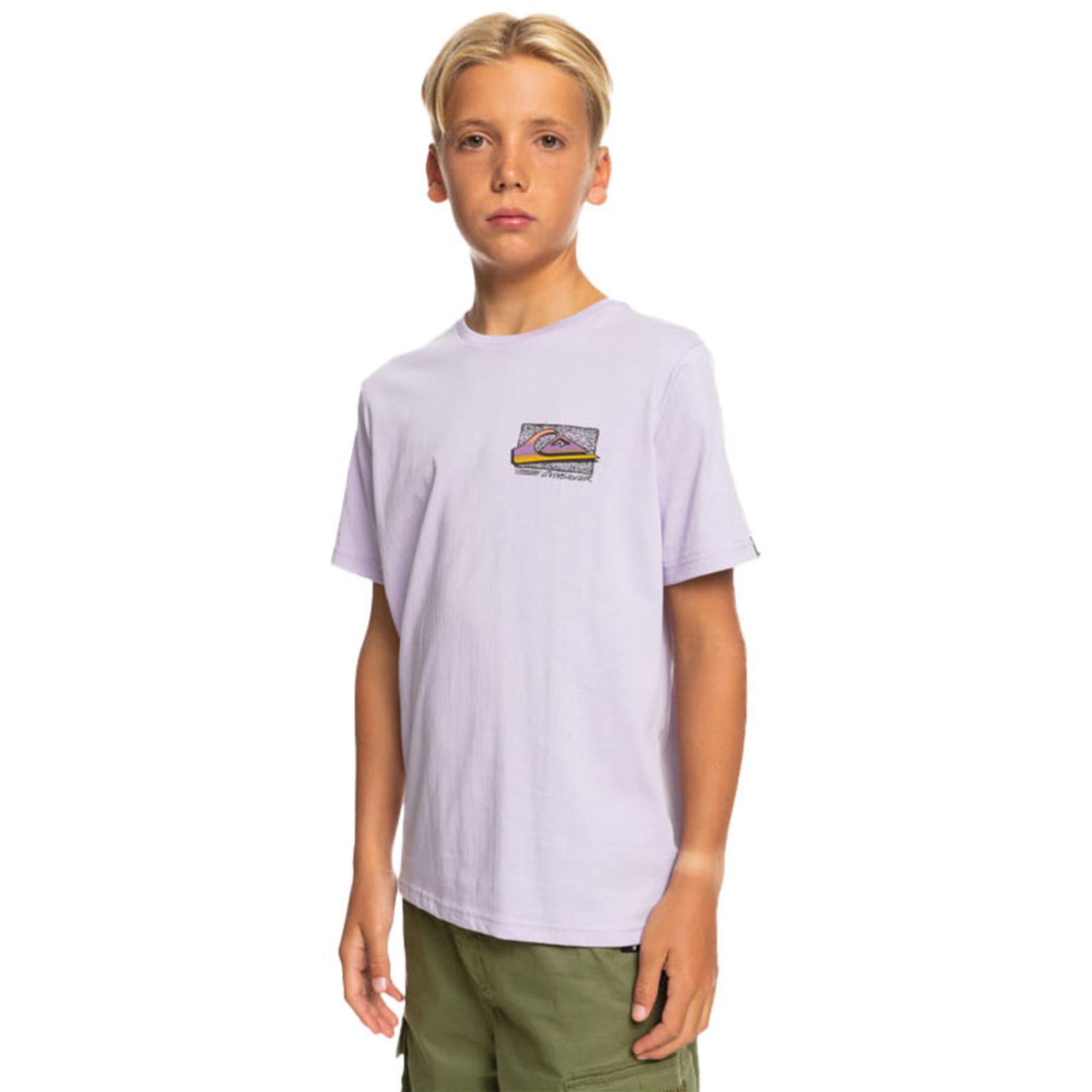 Quiksilver Retro Fade Yth Erkek Çocuk Mor Tişört