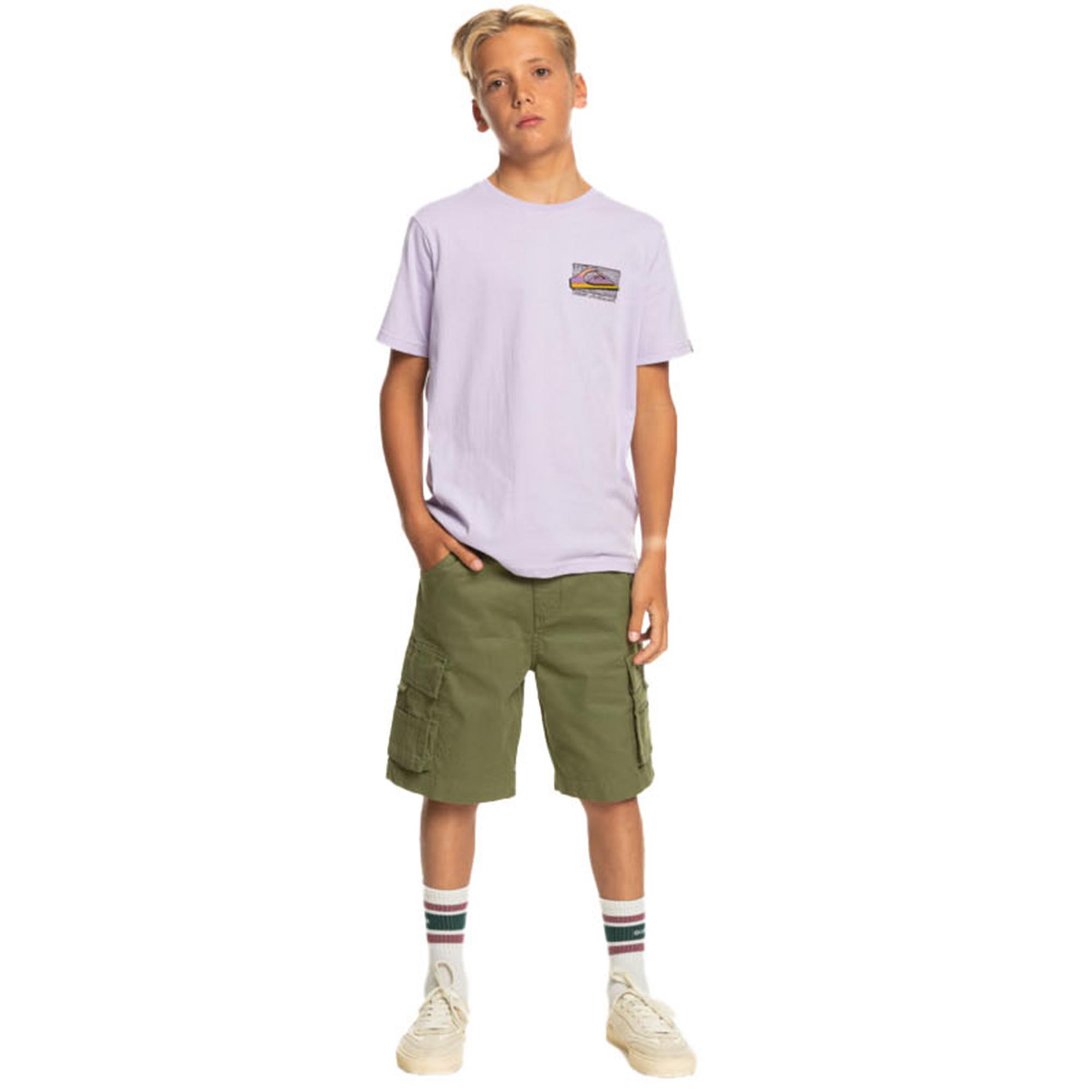 Quiksilver Retro Fade Yth Erkek Çocuk Mor Tişört