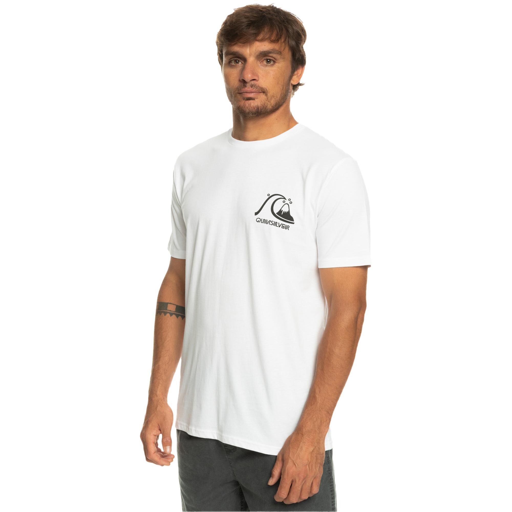 Quiksilver Theoriginaltee Erkek Renkli Tişört