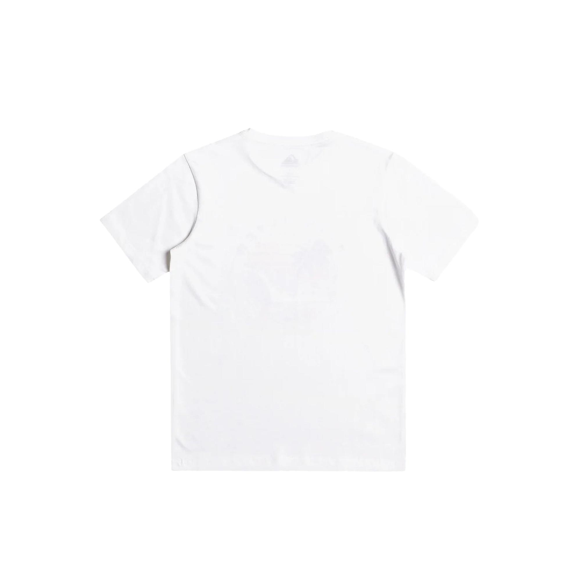 Quiksilver Qssurfclub B Erkek Çocuk Renkli Tişört