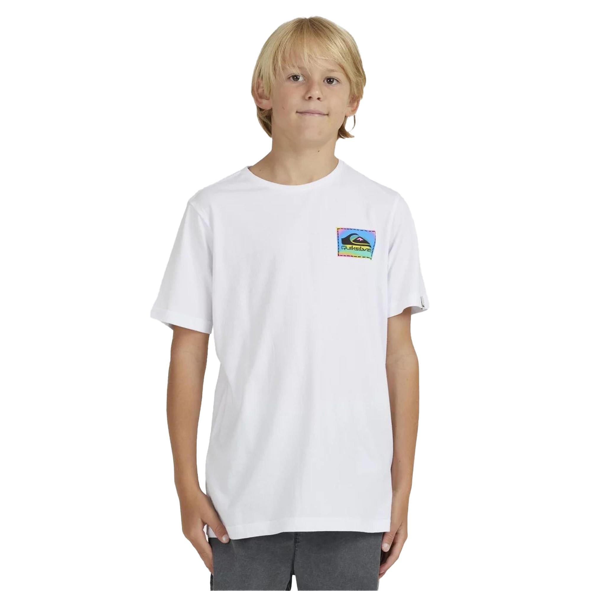 Quiksilver Colour Flow Yth Erkek Çocuk Renkli Tişört