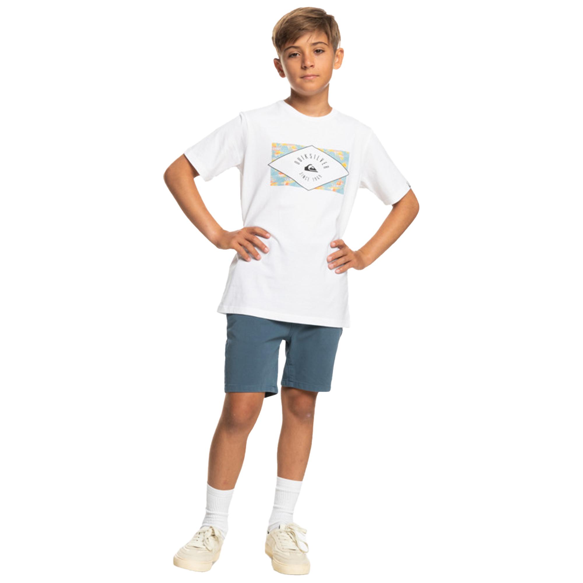 Quiksilver Circledline B Erkek Çocuk Renkli Tişört