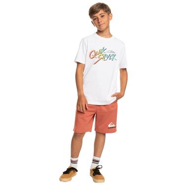  Quiksilver Signaturemove B Erkek Çocuk Renkli Tişört