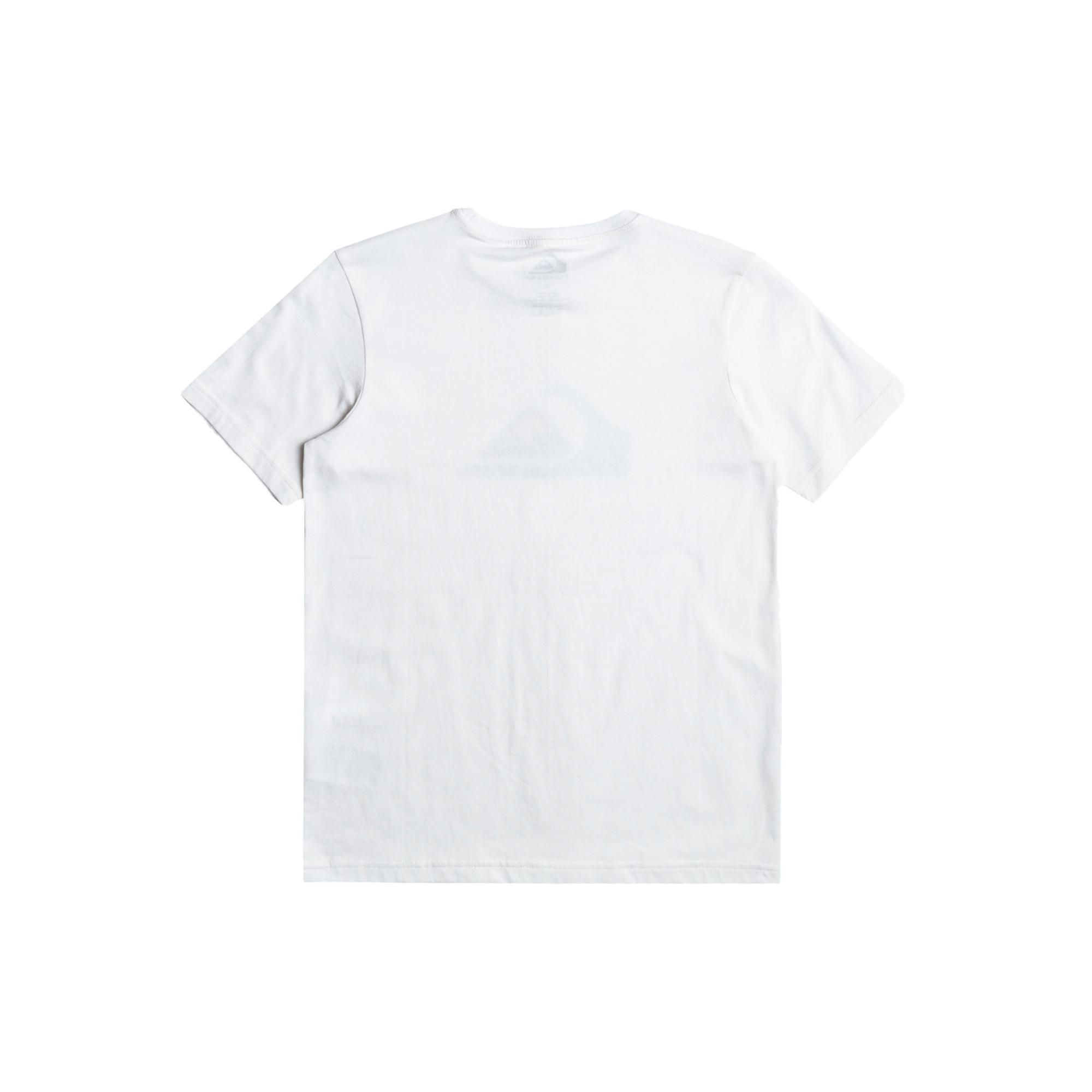 Quiksilver Comp Logo Yth Erkek Çocuk Renkli Tişört