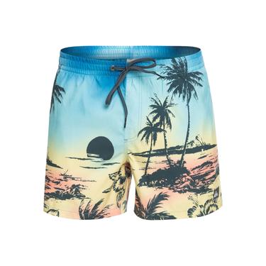 Quiksilver Erkek Volley Short Paradise 15 M Jamv Sarı