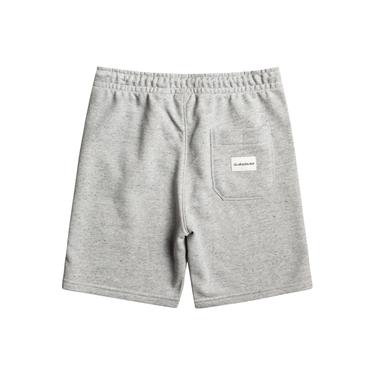  Quiksilver Easy Day B Otlr Erkek Çocuk Gri Şort