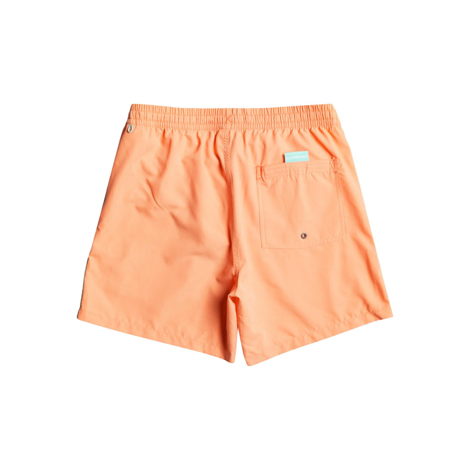Quiksilver Erkek Şort Volley Short Vert Somon Günlük Giyim