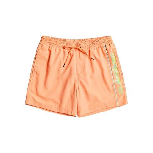  Quiksilver Erkek Şort Volley Short Vert Somon Günlük Giyim